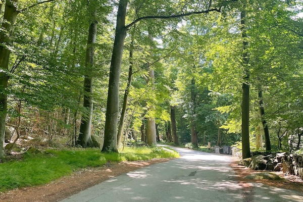 Foto van 6 persoons vakantie huis in SÖLVESBORG-By Traum - Vakantiehuis in SÖLVESBORG - Untagged