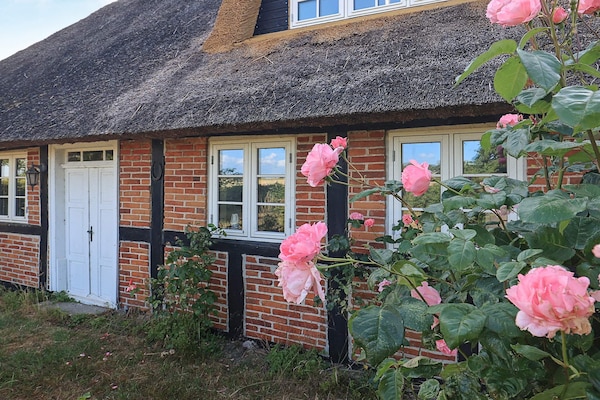 Foto van 6 persoons vakantie huis in Guldborg-By Traum - Vakantiehuis in Guldborg - View