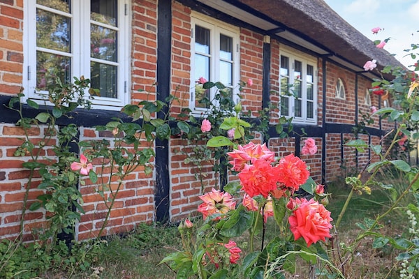 Foto van 6 persoons vakantie huis in Guldborg-By Traum - Vakantiehuis in Guldborg - View