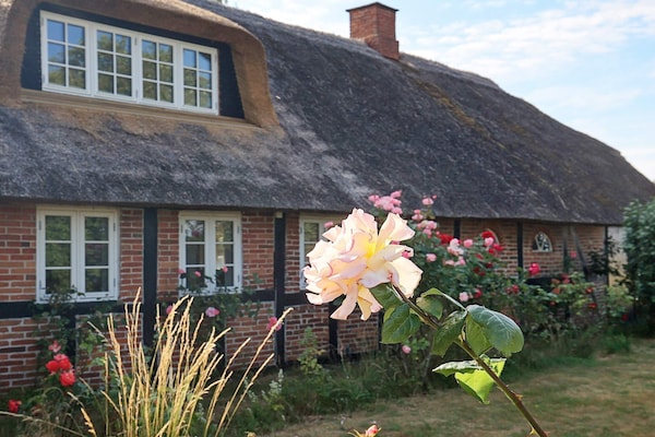 Foto van 6 persoons vakantie huis in Guldborg-By Traum - Vakantiehuis in Guldborg - View