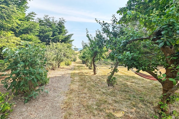 Foto van 6 persoons vakantie huis in Søby Ærø-By Traum - Vakantiehuis in Søby Ærø - Outdoor