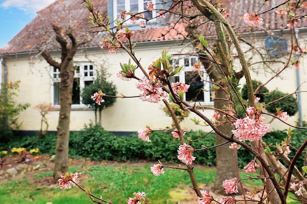 Foto van 6 persoons vakantie huis in Søby Ærø-By Traum - Vakantiehuis in Søby Ærø - View