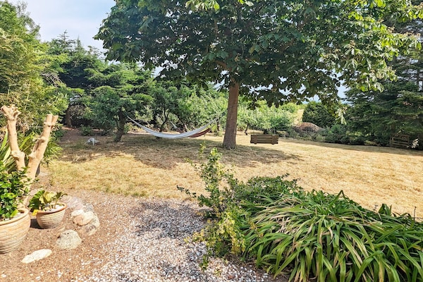 Foto van 6 persoons vakantie huis in Søby Ærø-By Traum - Vakantiehuis in Søby Ærø - Outdoor