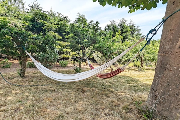 Foto van 6 persoons vakantie huis in Søby Ærø-By Traum - Vakantiehuis in Søby Ærø - Outdoor