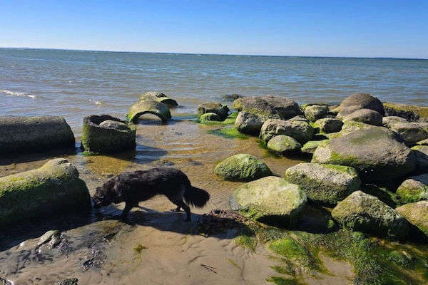 Foto van Luxe vakantieverblijf in Als - Vakantiehuis in Nordborg - WaterView