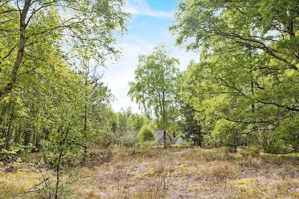 Foto van 6 persoons vakantie huis in Læsø-By Traum - Vakantiehuis in Læsø - Untagged