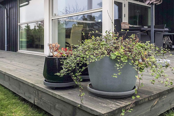 Foto van 8 persoons vakantie huis in Bogense-By Traum - Vakantiehuis in Bogense - View