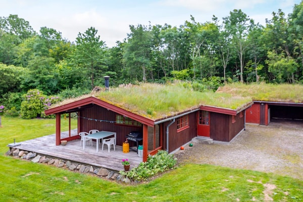 Foto van 6 persoons vakantie huis in Roslev-By Traum - Vakantiehuis in Roslev - Outdoor