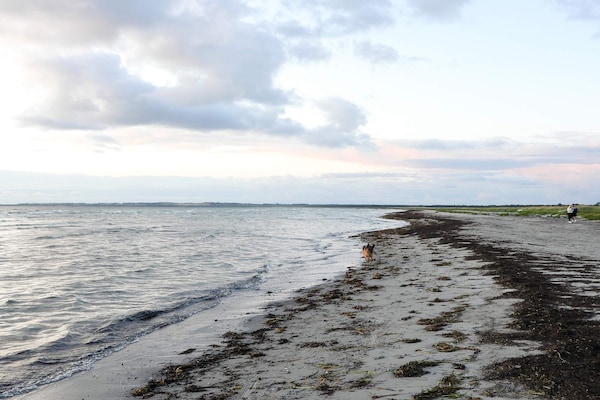 Foto van 5 sterren vakantie huis in Vig-By Traum - Vakantiehuis in Vig - WaterView