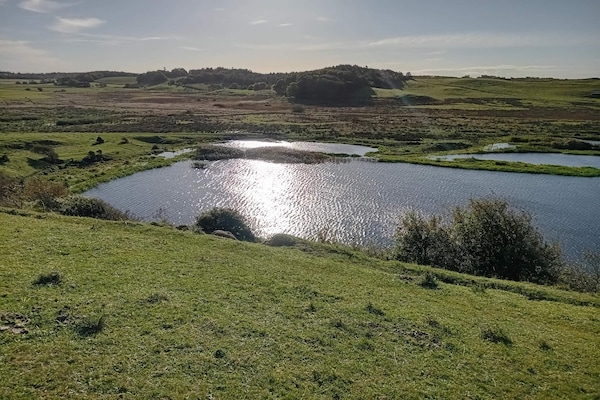 Foto van 6 persoons vakantie huis in Skals-By Traum - Vakantiehuis in Skals - WaterView