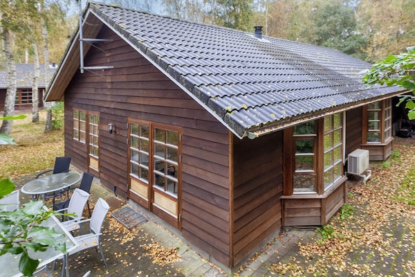 Foto van 6 persoons vakantie huis in Læsø-By Traum - Vakantiehuis in Læsø - View