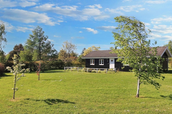 Foto van 6 persoons vakantie huis in Rødvig Stevns-By Traum - View