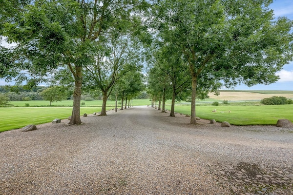 Foto van 5 sterren vakantie huis in Spøttrup-By Traum - Vakantiehuis in Spøttrup - Outdoor