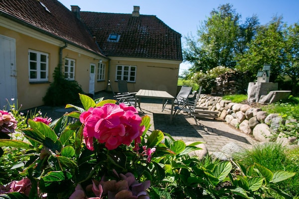 Foto van 7 persoons vakantie huis in Tranekær-By Traum - Vakantiehuis in Tranekær - Outdoor