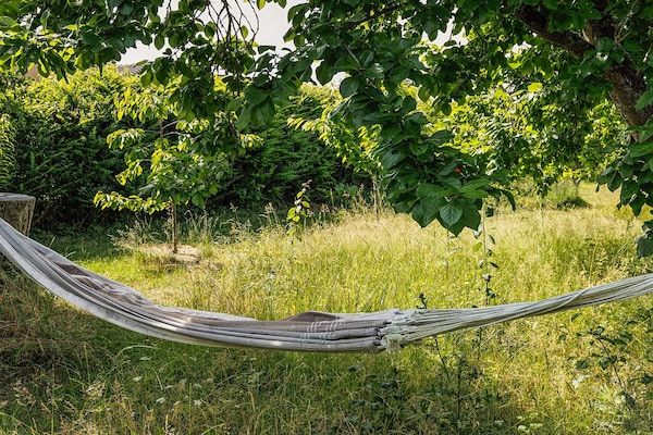 Foto van 6 persoons vakantie huis in Rødvig Stevns-By Traum - View