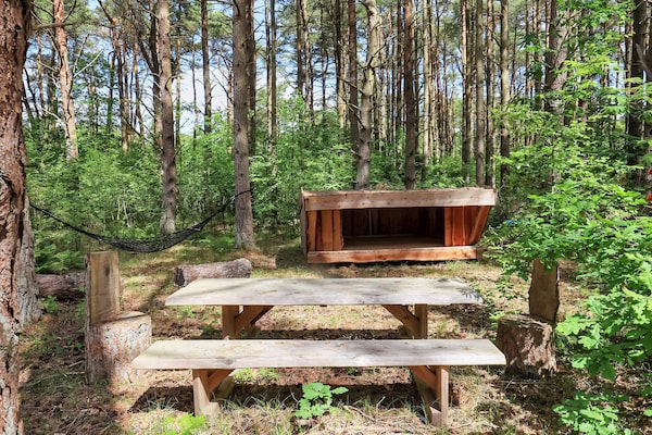 Foto van 5 sterren vakantie huis in Læsø-By Traum - Vakantiehuis in Læsø - View