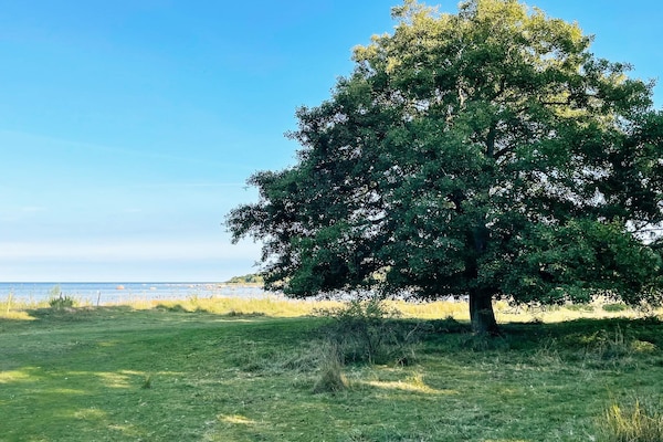 Foto van 4 sterren vakantie huis in SÖLVESBORG-By Traum - Vakantiehuis in SÖLVESBORG - Outdoor
