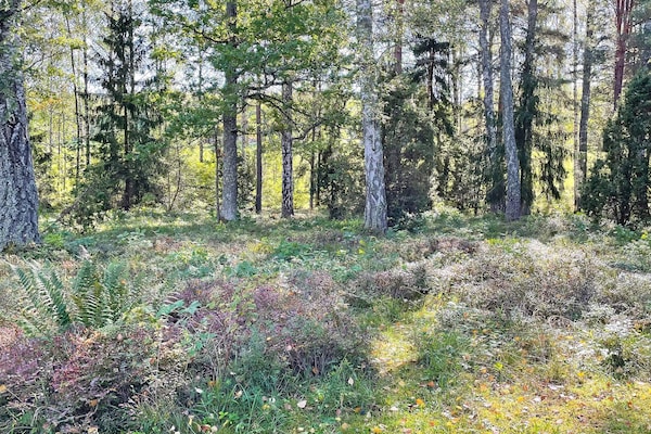 Foto van 6 persoons vakantie huis in Vingåker-By Traum - Vakantiehuis in Vingåker - Outdoor