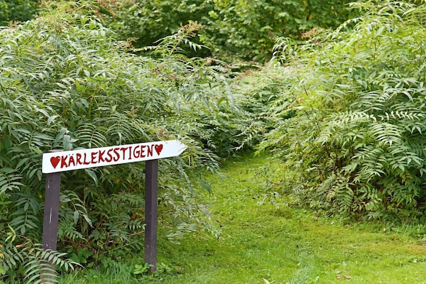 Foto van 8 persoons vakantie huis in HISHULT-By Traum - Vakantiehuis in HISHULT - Outdoor
