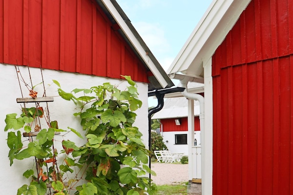 Foto van 8 persoons vakantie huis in HISHULT-By Traum - Vakantiehuis in HISHULT - Outdoor