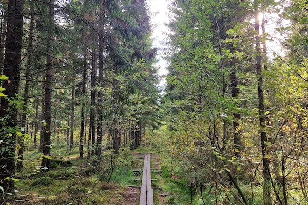 Foto van 4 sterren vakantie huis in SKÖVDE-By Traum - Vakantiehuis in SKÖVDE - Untagged