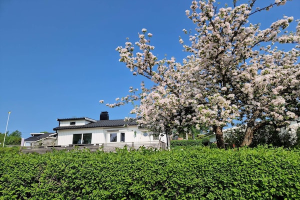 Foto van 4 sterren vakantie huis in SKÖVDE-By Traum - Vakantiehuis in SKÖVDE - Outdoor