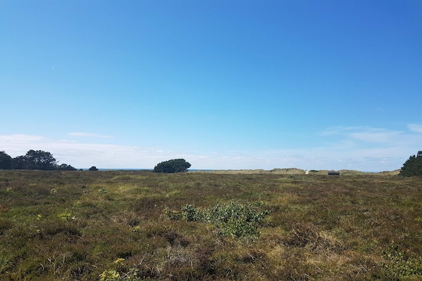 Foto van 12 persoons vakantie huis in Læsø-By Traum - Vakantiehuis in Læsø - Untagged