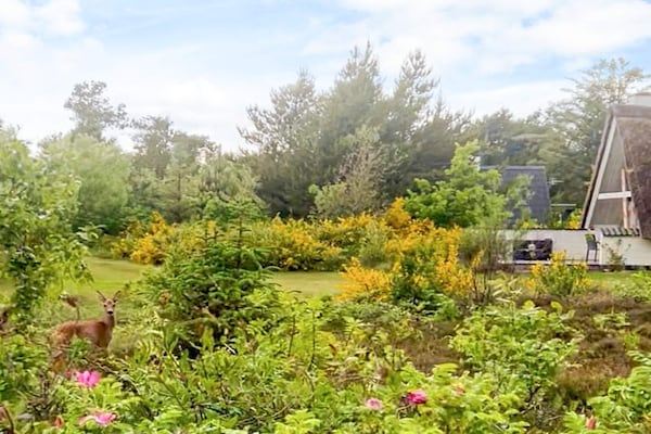 Foto van 4 persoons vakantie huis in Ringkøbing-By Traum - Vakantiehuis in Ringkøbing - View