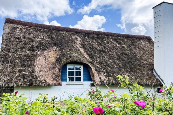 Foto van 4 persoons vakantie huis in Ringkøbing-By Traum - Vakantiehuis in Ringkøbing - Outdoor