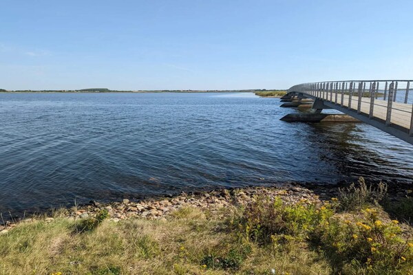Foto van 6 persoons vakantie huis in Ringkøbing-By Traum - Vakantiehuis in Ringkøbing - WaterView