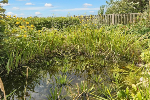 Foto van 6 persoons vakantie huis in Ringkøbing-By Traum - Vakantiehuis in Ringkøbing - View