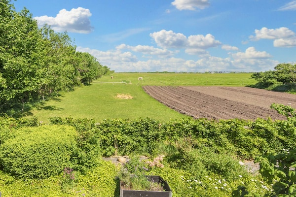Foto van 6 persoons vakantie huis in Ringkøbing-By Traum - Vakantiehuis in Ringkøbing - View