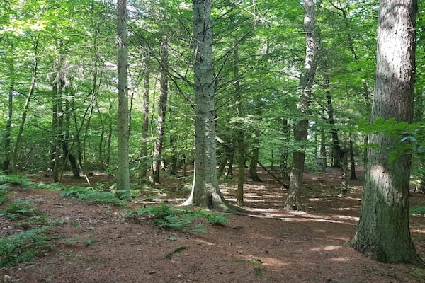 Foto van 4 sterren vakantie huis in Thisted-By Traum - Vakantiehuis in Thisted - Untagged