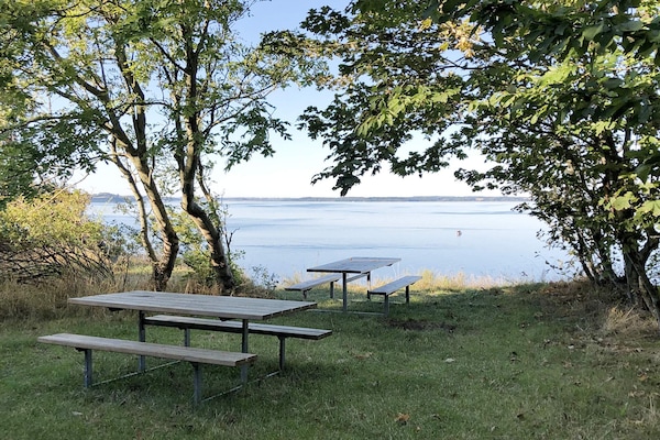 Foto van 6 persoons vakantie huis in Skibby-By Traum - Vakantiehuis in Skibby - Outdoor