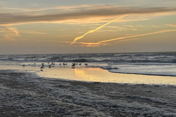 Foto van Ruim toevluchtsoord voor 20 -- By Traum Ferienwohnungen - WaterView