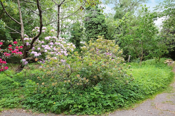 Foto van 6 persoons vakantie huis in Dronningmølle-By Traum - View