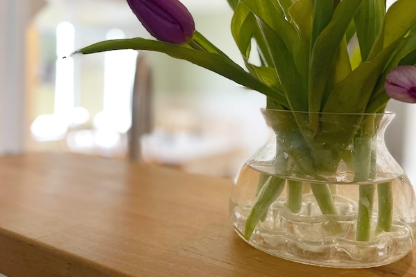 Foto van 8 persoons vakantie huis in ANNEBY-By Traum - Vakantiehuis in ANNEBY - Indoor