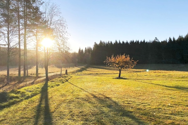 Foto van 8 persoons vakantie huis in ANNEBY-By Traum - Vakantiehuis in ANNEBY - Outdoor