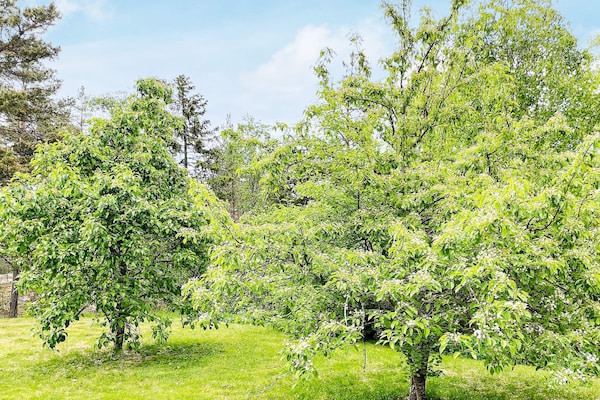 Foto van 4 sterren vakantie huis in VÄDDÖ-By Traum - Vakantiehuis in VÄDDÖ - Outdoor