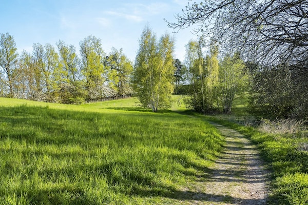 Foto van 6 persoons vakantie huis in Frederiksværk-By Traum - Outdoor