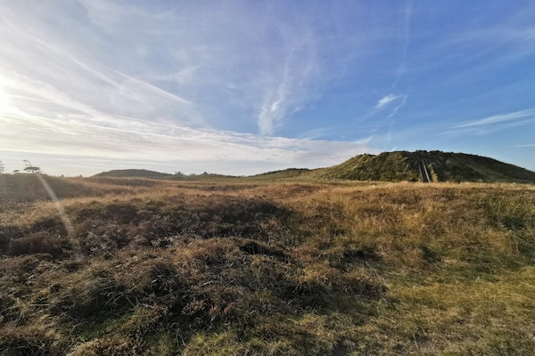 Foto van 4 sterren vakantie huis in Rømø-By Traum - Vakantiehuis in Rømø - Untagged