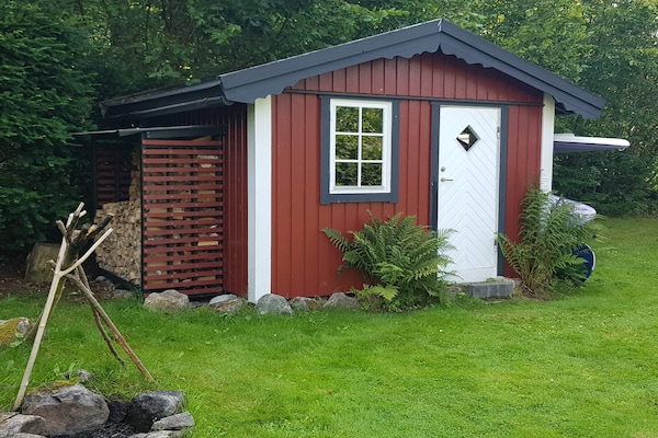 Foto van 4 sterren vakantie huis in Olofström-By Traum - Vakantiehuis in Olofström - Outdoor