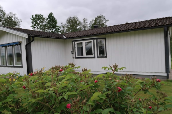 Foto van 6 persoons vakantie huis in SUNNE-By Traum - Vakantiehuis in SUNNE - Outdoor