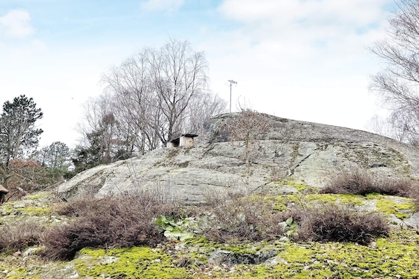 Foto van 4 sterren vakantie huis in JÖRLANDA-By Traum - Vakantiehuis in Jörlanda - Outdoor