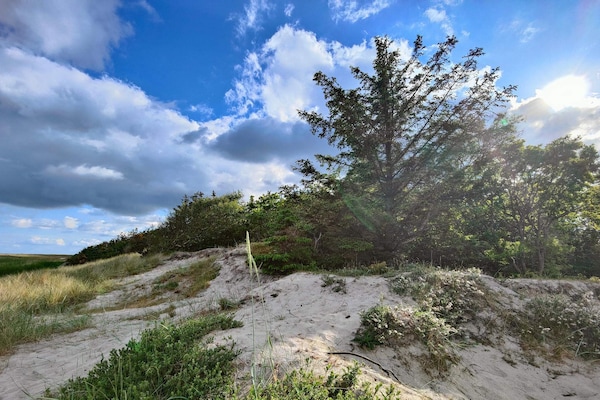 Foto van 7 persoons vakantie huis in Hals-By Traum - Vakantiehuis in Hals - Outdoor