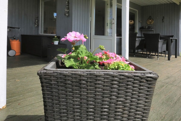 Foto van 7 persoons vakantie huis in Hals-By Traum - Vakantiehuis in Hals - Untagged