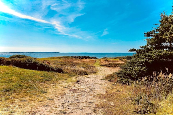 Foto van 4 sterren vakantie huis in Løgstør-By Traum - Vakantiehuis in Løgstør - Outdoor