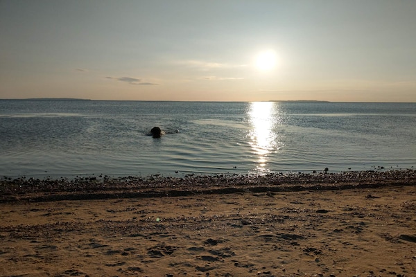 Foto van 4 sterren vakantie huis in Løgstør-By Traum - Vakantiehuis in Løgstør - WaterView