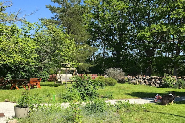 Foto van 6 persoons vakantie huis in KLINTEHAMN-By Traum - Vakantiehuis in KLINTEHAMN - Outdoor