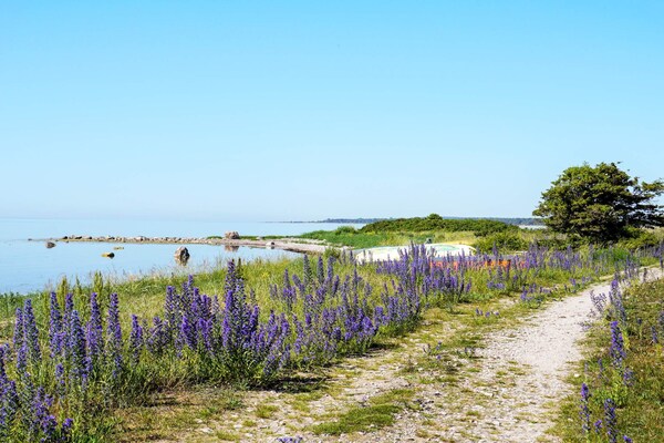 Foto van 5 sterren vakantie huis in Gotlands Tofta-By Traum - Untagged